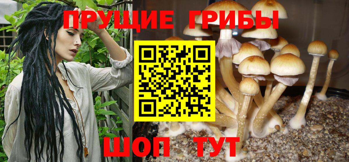 Галлюциногенные грибы ЛСД  сколько стоит  Тайшет  Псилоцибиновые грибы GOLDEN TEACHER  Вход с VPN 