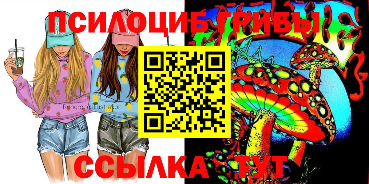 Псилоцибиновые грибы ЛСД Тайшет